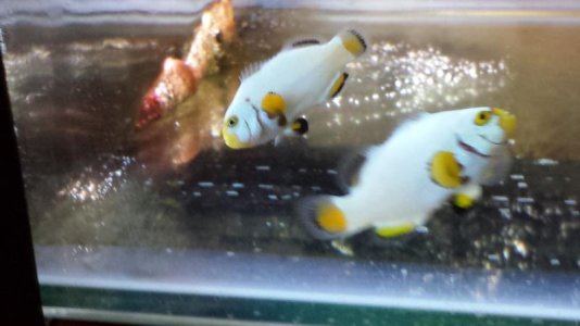 20130608_004808.jpg 20130608_004808.jpg