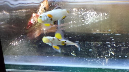 20130608_004759.jpg 20130608_004759.jpg