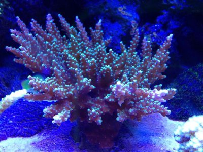IMG_3485 (Medium).jpg