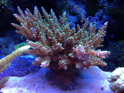 IMG_3513 (Medium).jpg