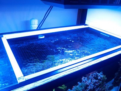 2013-06-08 09.22.21.jpg