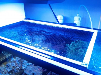 2013-06-08 09.22.01.jpg