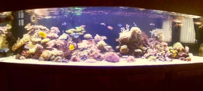 2013-06-14 16.33.06.jpg