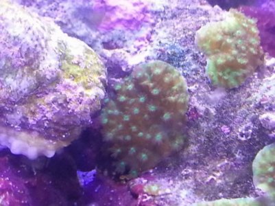 mini-20130608_203155.jpg