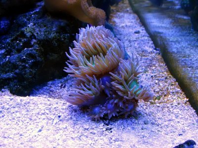 IMG_0789.jpg