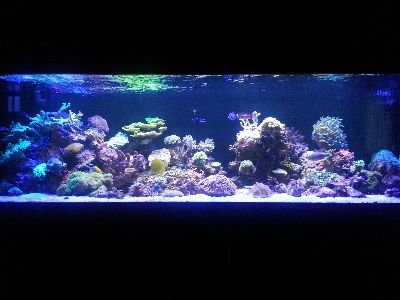 1372517595N20130620_213058 (1).jpg