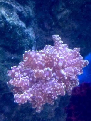 IMG_20130629_161926.jpg
