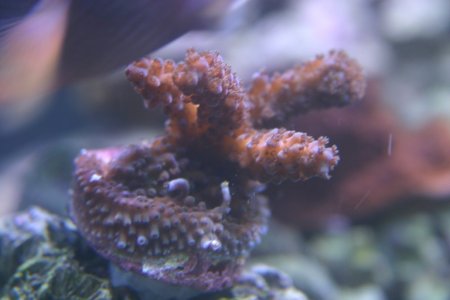 Unknown 2.jpg