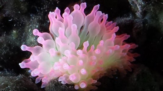 20130611_010915.jpg 20130611_010915.jpg