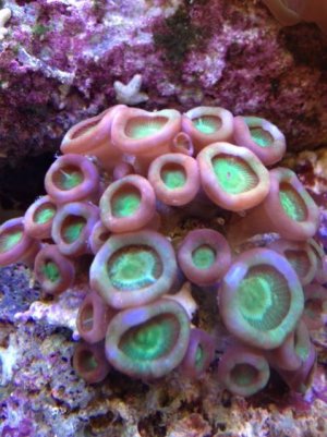 photo (1).jpg