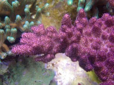 IMG_2125.jpg