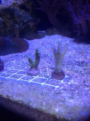 photo(21).jpg