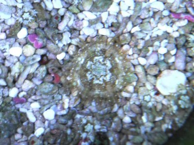 DSCF3097.jpg