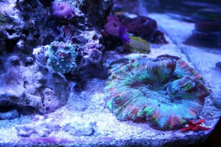 IMG_3383s.jpg
