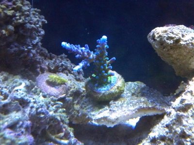 2013-07-03_17-26-52_936.jpg