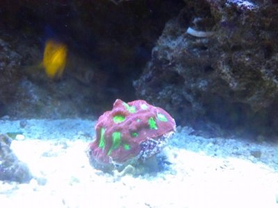 2013-07-03_17-26-44_505.jpg