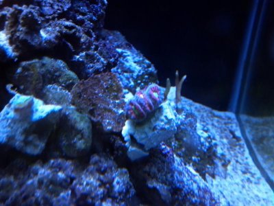 2013-07-03_17-26-27_755.jpg