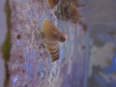 IMG_0112 (Small).JPG