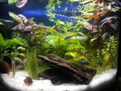 20130615_191400.jpg 20130615_191400.jpg