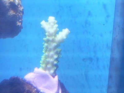 2013-07-04 18.00.21.jpg