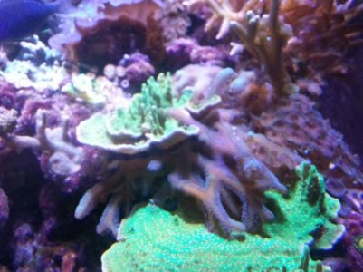 20130706_032512.jpg
