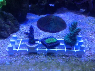 photo(23).jpg