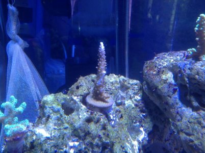 photo(22).jpg
