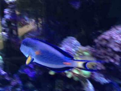 ImageUploadedByTapatalk 21371519051.353769.jpg