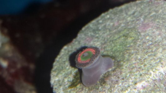 20130706_230004.jpg