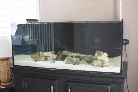 IMG_1894_1.jpg