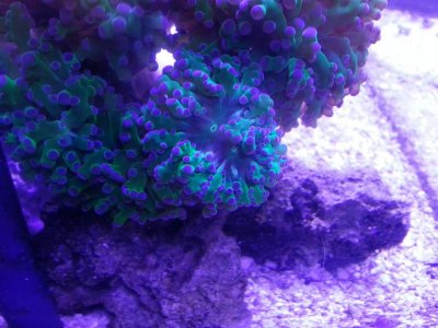 20130618_103302[1].jpg