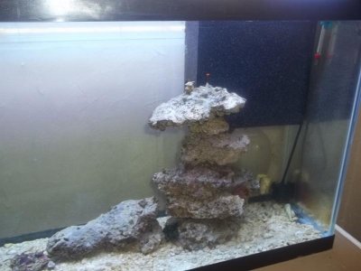 fishhhreef 053.jpg