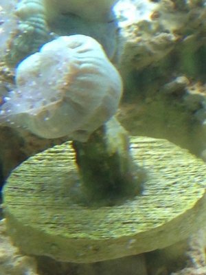 photo.jpg