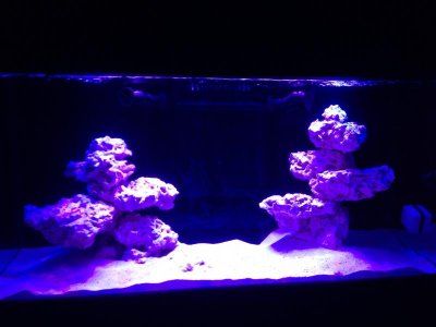 tank pic.jpg