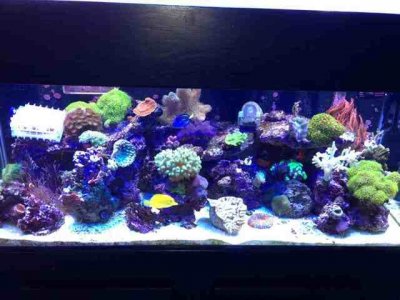 ImageUploadedByTapatalk1371617251.487886.jpg ImageUploadedByTapatalk1371617251.487886.jpg