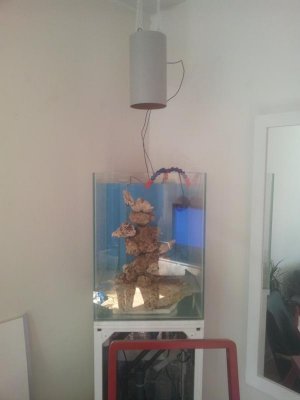 2013-06-19 17.09.39.jpg