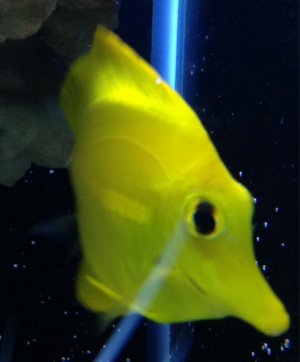 image-3867819623.jpg image-3867819623.jpg