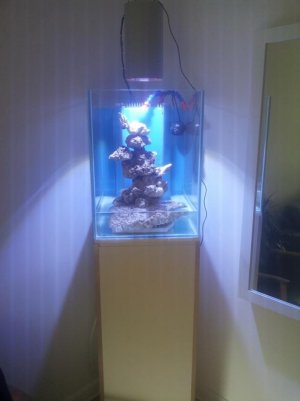 2013-06-20 14.28.22.jpg