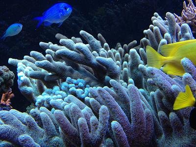 IMG_0102_.jpg