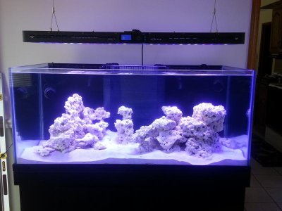 clear tank.jpg