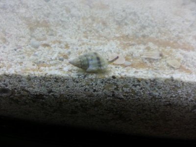 20130709_182113.jpg