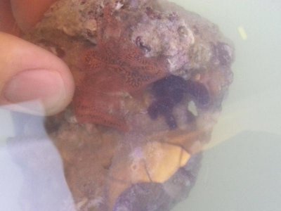 20130709_181651.jpg