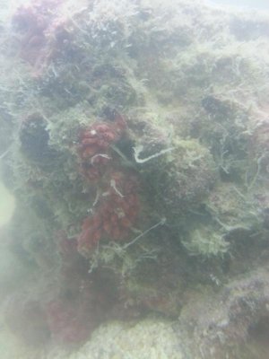 20130709_184542.jpg