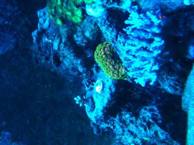 IMG_1123[1].jpg
