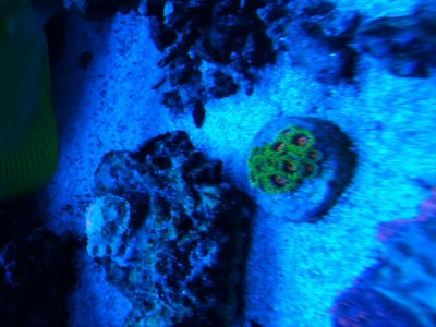 IMG_1124[1].jpg