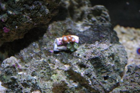 DSC_3079.jpg