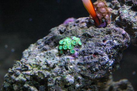 DSC_3083.jpg
