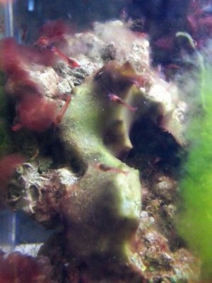 20130710_200000.jpg