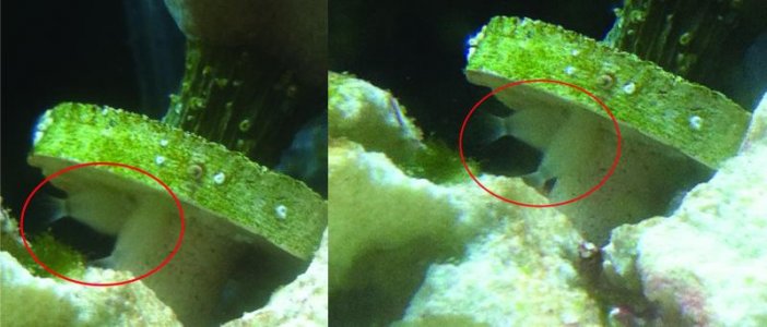 Aquarium life-01-01.jpg