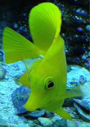 image-493086838.jpg image-493086838.jpg